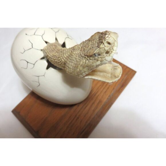 RARE VINTAGE TAXIDERMY SMALL RATTLESNAKE HEAD BURSTING OUT OF A CERAMIC EGG - Picture 5 of 7